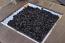 Black Lava Rock